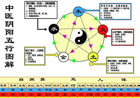 五行是什么|五行的定义和含义